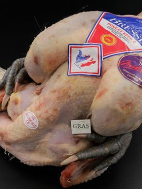 Poulet de Bresse 