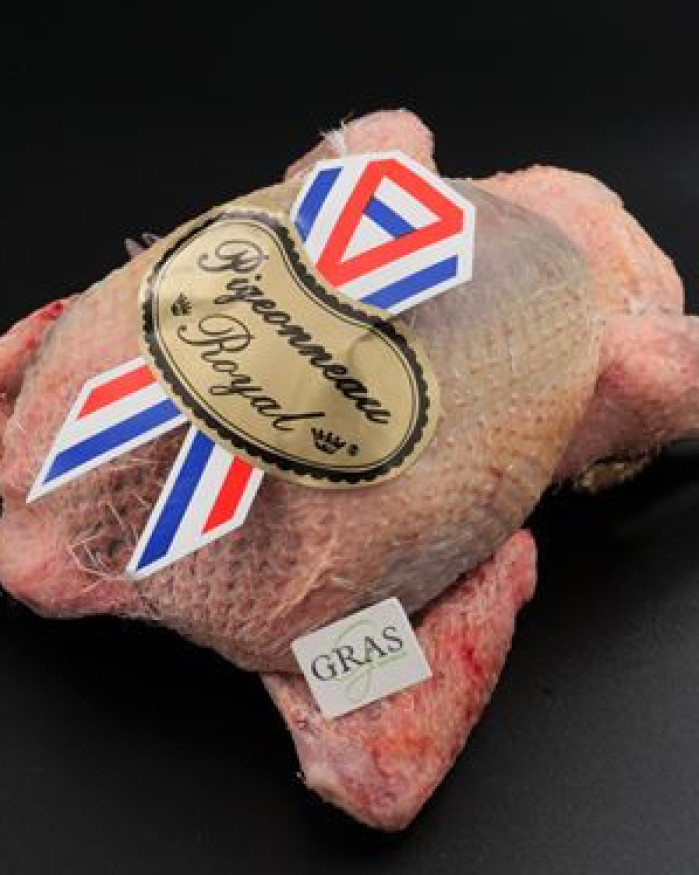Pigeon fermier